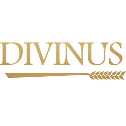divinus bieren van brouwerij de Wijck logo
